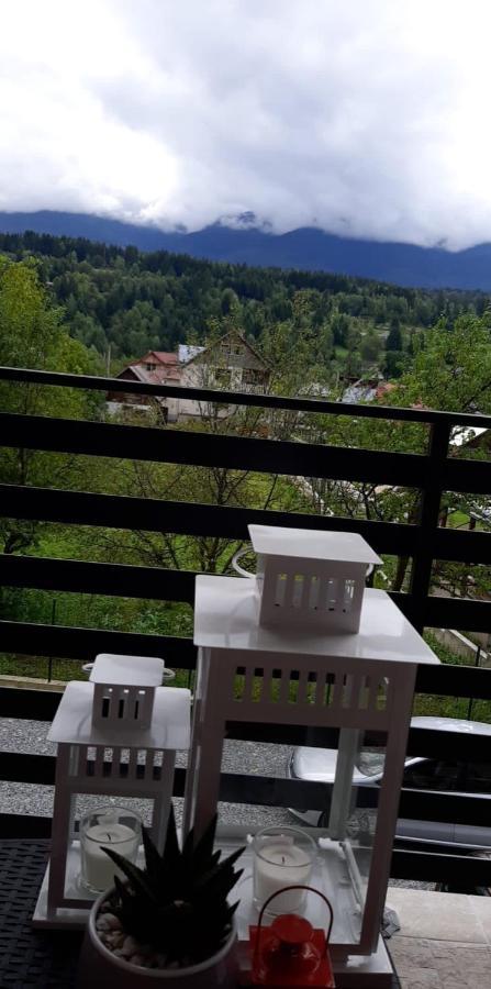 Villa Maya Borşa Exteriör bild