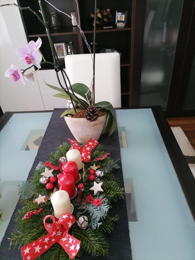 Villa Maya Borşa Exteriör bild